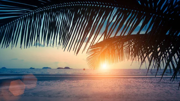 手のひらを通して熱帯海ビーチ葉のすばらしい夕日 — ストック写真