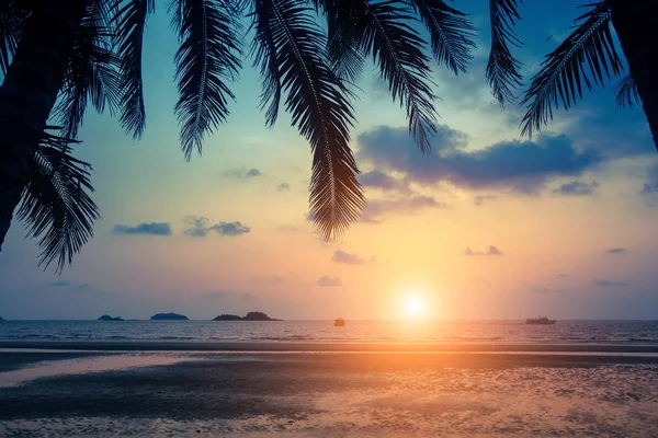 热带海洋海滩在惊人的日落期间 — 图库照片