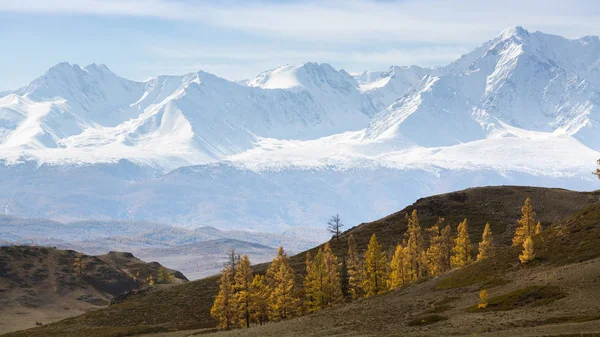 Autumn mountains landscapes, Altai Republic, Russia. — Stock Image Autumn Mountains Landscapes Altai Republic Russia Stock Photo