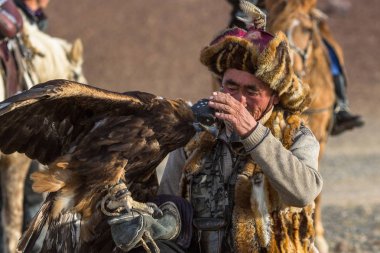 Sagsay, Moğolistan - 28 Eylül 2017: Berkutchi (Kartal Hunter) ise bir Altın Kartallar ile tavşan Bayan-Olgii Aymağı dağlarında kolları üzerinde avcılık. 
