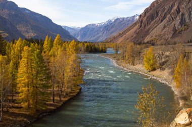 Sonbahar Katun nehirde Altay Cumhuriyeti, Rusya Federasyonu.
