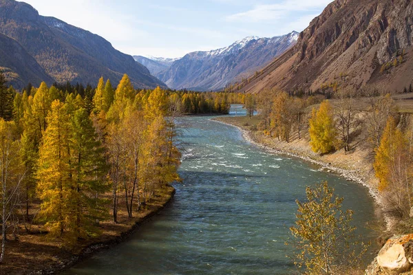 Katun River at autumn in Altai Republic, Russia. — Stock Image Katun River Autumn Altai Republic Russia Royalty Free Stock Images