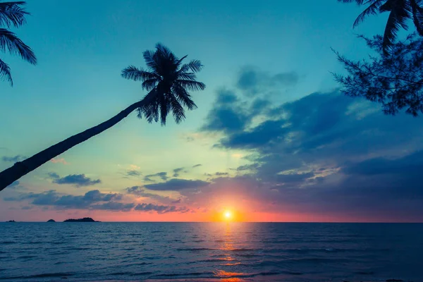 日落时热带海边的棕榈树剪影 — 图库照片