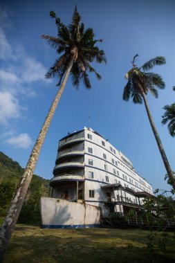 Asya ormanın ortasında terk edilmiş gemi.