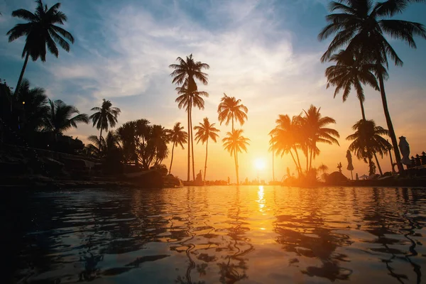 Hermosa Playa Tropical Con Siluetas Palmeras Atardecer —  Fotos de Stock