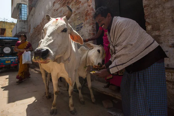 Varanasi Hindistan Mar 2018 Nek Ganj Kıyıya Yakın Neklerin Hindistan — Stok fotoğraf