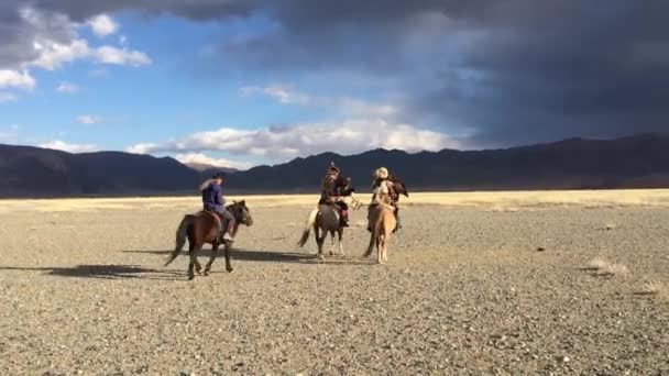 バヤン ウルギー Aimag の山のイヌワシとウサギに馬狩りで Sagsay モンゴル Sep 2017 カザフ イーグル — ストック動画