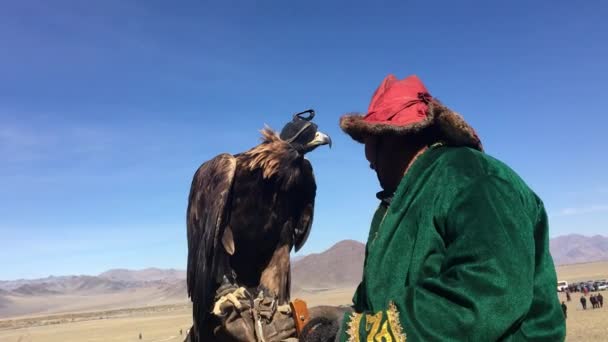 Sagsay Mongolia Sep 2017 Vânător Vultur Kazah Berkutchi Vânătoare Cai — Videoclip de stoc