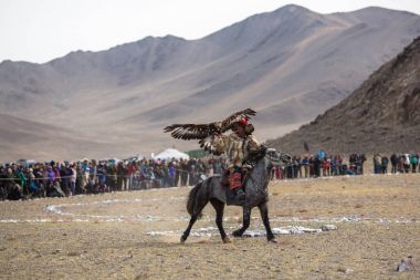 Olgiy, Moğolistan - Eyl 30, 2017: Kazak altın kartal avcı, geleneksel giyim, kuşları Berkutchi Batı Moğolistan ile yıllık Ulusal yarışma sırasında kolunda altın kartal ile.