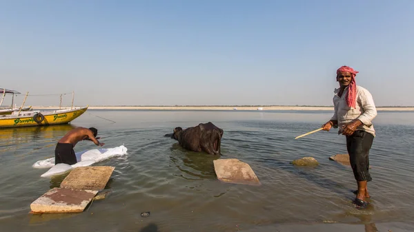 Varanasi India Mar 2018 Hombre Lava Sábanas Río Santo Ganga Imagen de archivo