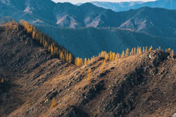 Paisajes Las Montañas Otoño República Altai Rusia — Foto de Stock