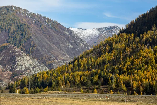 Τοπία Των Βουνών Αλτάι Δημοκρατία Στο Φθινόπωρο Ρωσία — Φωτογραφία Αρχείου
