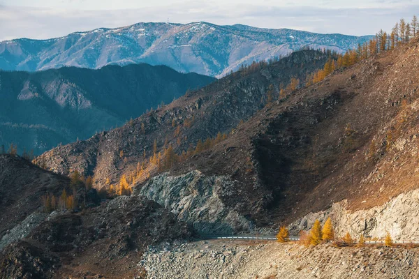 Βουνά Τοπία Δημοκρατία Των Αλτάι Ρωσία — Φωτογραφία Αρχείου