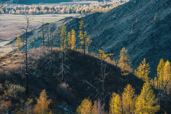 アルタイ共和国 ロシアの山の景色の景色 — ストック写真