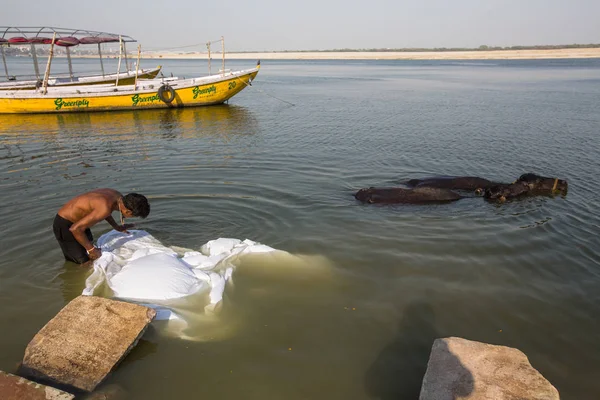Varanasi Indien Mar 2018 Man Tvättar Lakan Den Heliga Ganga — Stockfoto