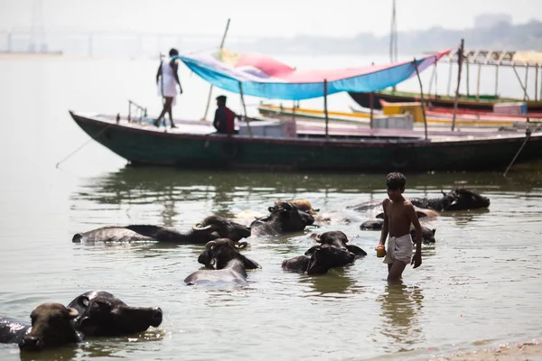 Varanasi Índia Mar 2018 Nas Margens Rio Ganga Sagrado Varanasi — Fotografia de Stock