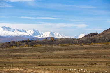 Görünüm dağın kuzey-Chuya ridge Altay Cumhuriyeti, Rusya Federasyonu.