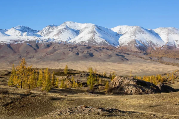 Görünüm Chuya Ridge Altay Dağları Nın Sibirya Rusya Federasyonu — Stok fotoğraf
