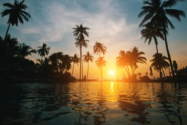 Plage Tropicale Coucher Soleil Incroyable Paysage Paradisiaque Avec Des Silhouettes — Photo