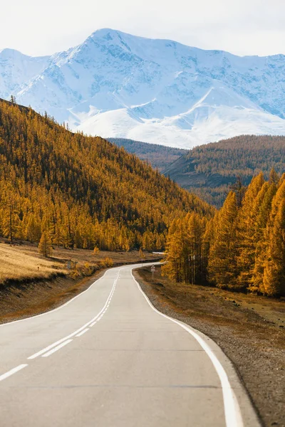 Autostrada Chuya Montagna Nella Repubblica Altai Russia — Foto Stock