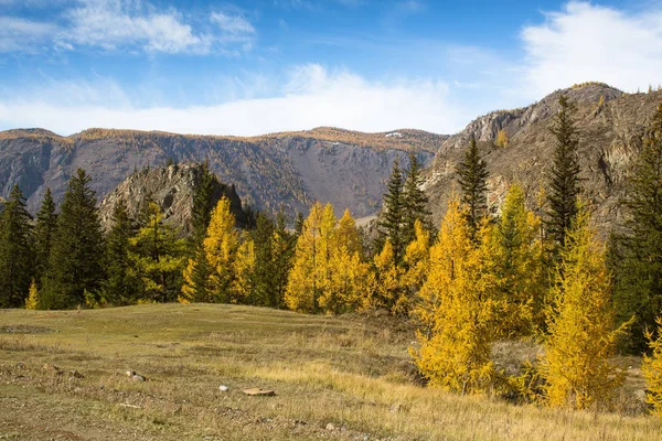 Landschappen Van Bergen Russische Autonome Deelrepubliek Altaj Herfst Rusland — Stockfoto
