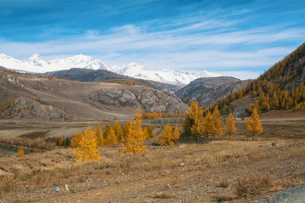 Paysages République Altaï Montagnes Automne Russie — Photo