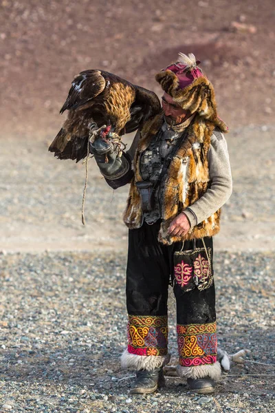 Sagsay 2017年9月28日 Berkutchi 老鹰猎人与金黄老鹰在野兔狩猎期间 在西部蒙古的沙漠山 — 图库照片