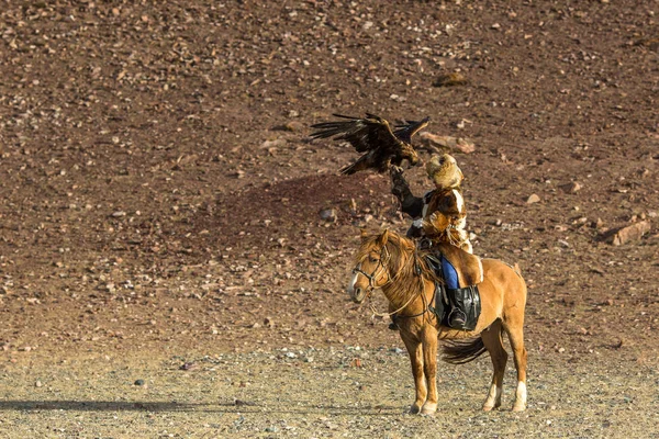 Sagsay Μογγολία Σεπ 2017 Αετός Berkutchi Κυνηγός Χρυσαετός Κατά Κυνήγι — Φωτογραφία Αρχείου