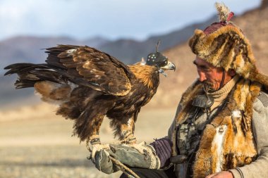 Sagsay, Moğolistan - 28 Eylül 2017: ATI ise bir Altın Kartallar ile tavşan Bayan-Olgii Aymağı dağlarında kolları üzerinde avcılık kazak kartal Hunter (Berkutchi). 