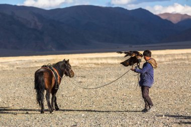 Sagsay, Moğolistan - 28 Eylül 2017: Berkutchi kartal avcı ile hare avlar, Batı Moğolistan çöl dağlar sırasında altın kartal.