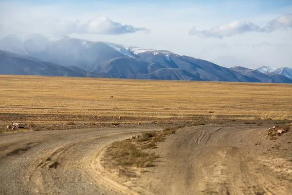 Droga Krajowa Przez Stepy Góry Zachodniej Mongolii — Zdjęcie stockowe