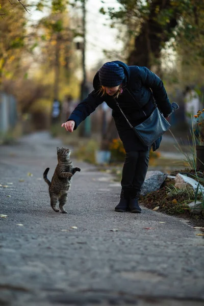 女は路上で灰色の猫と遊ぶ — ストック写真