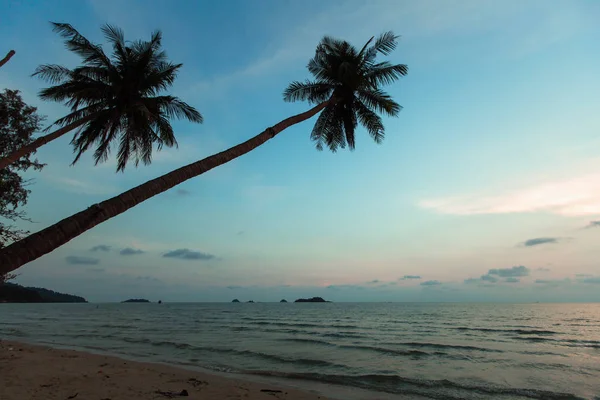 热带海滩 黄昏时分 棕榈树丛生 — 图库照片