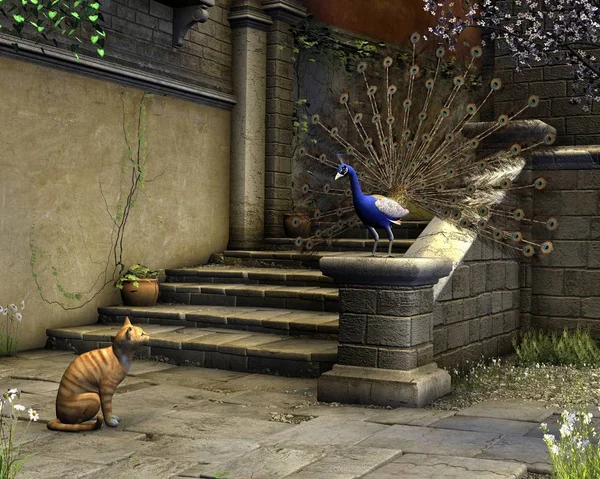 Gato e pavão em uma rua mediterrânea — Fotografia de Stock