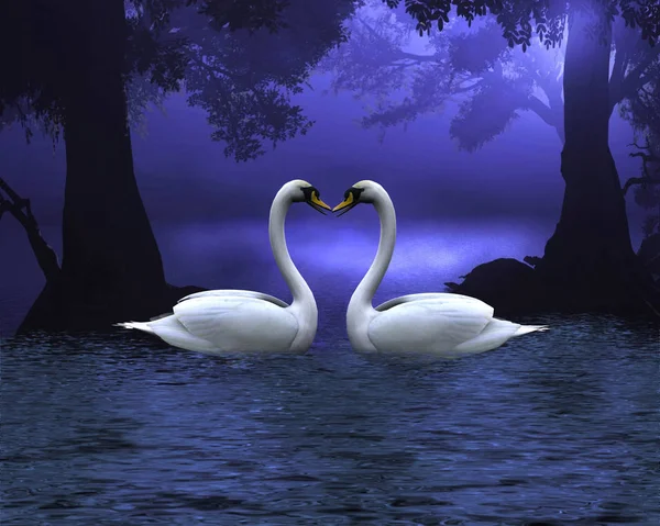Лебединая Сцена Вечере Иллюстрация Двух Лебедей Лесистом Озере Вечером Делающих — стоковое фото