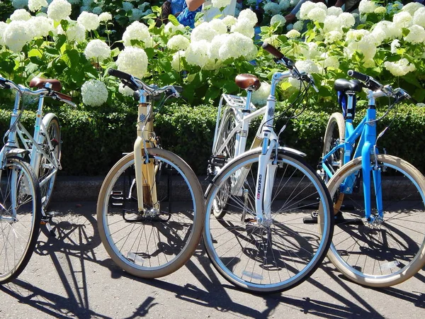 Велосипеды в парке Стоковое Фото