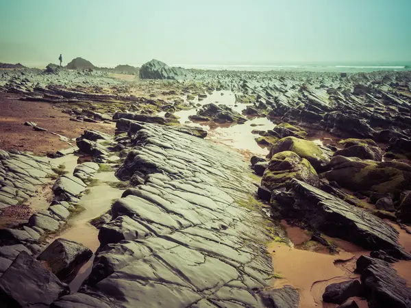 Kayalık plaj bir sisli gün. Asturias, İspanya plajıdır. Bir çok turistik yer