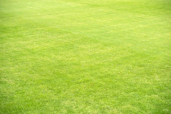 スポーツ フィールドの緑の芝生 — ストック写真