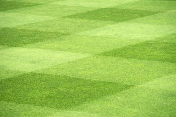 Grass of sport field — Stock Photo, Image