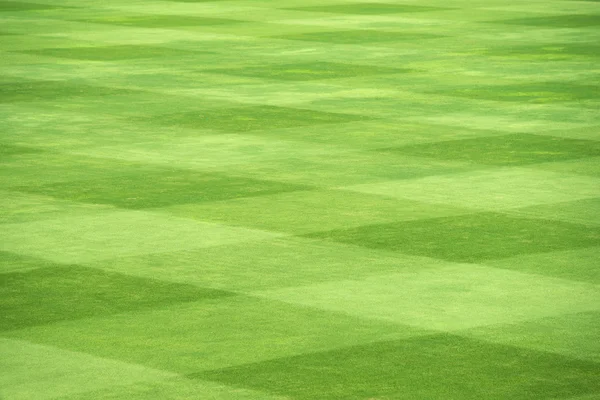 Gräset på sport fältet — Stockfoto