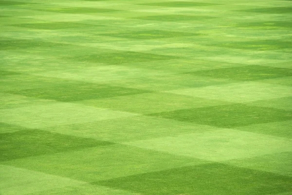 Gras van sport veld — Stockfoto