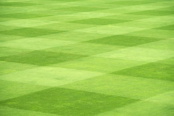 Grass of sport field — Stock Photo, Image