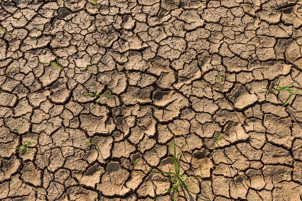 Fondo de textura de suelo agrietado —  Fotos de Stock