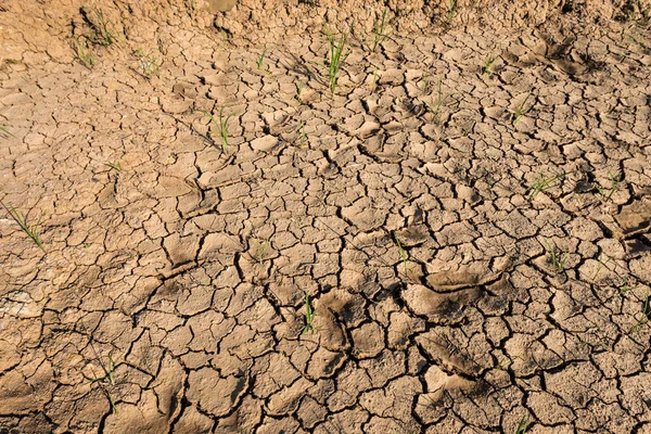 割れた地の質感の背景 — ストック写真