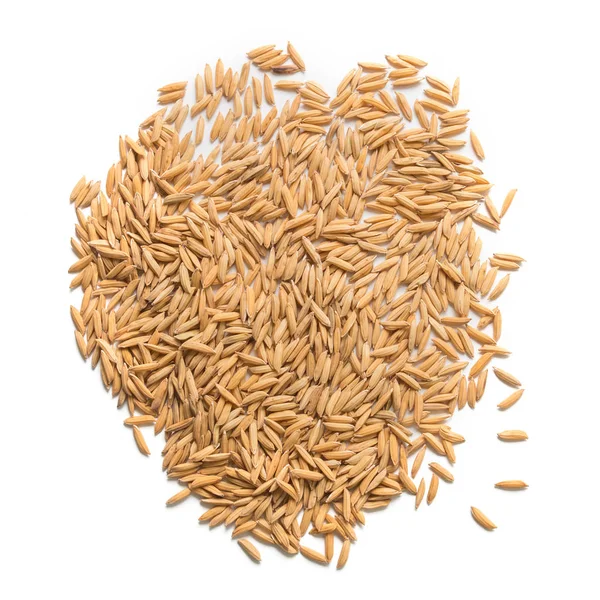 Paddy seed on white background — Stock Photo, Image