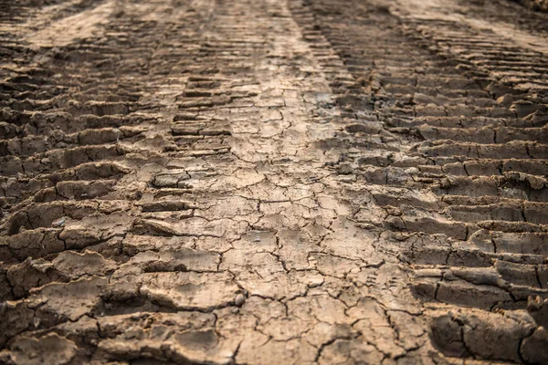 Wheel tracks on dirt soil — Stock Photo, Image