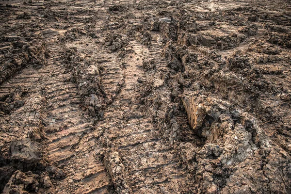 Hjulspåren på smuts mark — Stockfoto