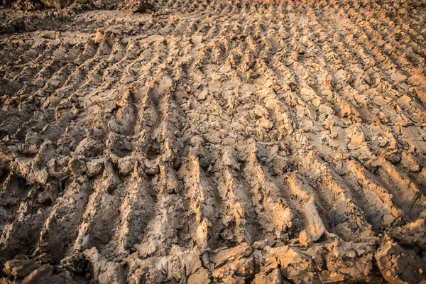 Wheel tracks on dirt soil — Stock Photo, Image