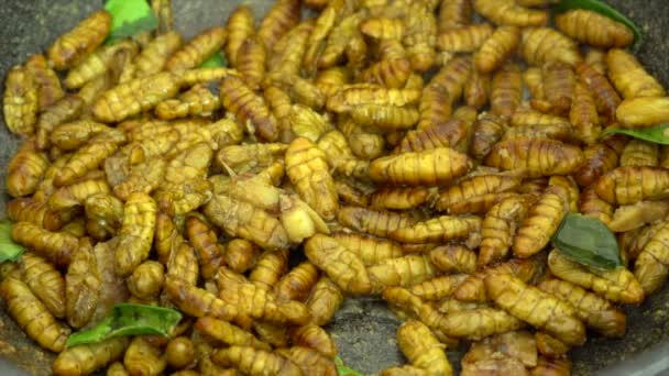 Fried silkworms in a cooking pan — Stock Video