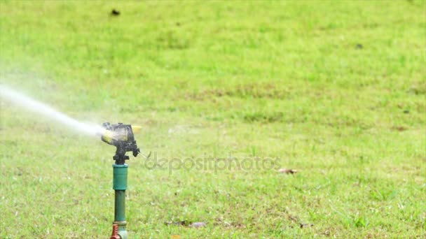Watering in lawn sprinkler irrigation — Stock Video